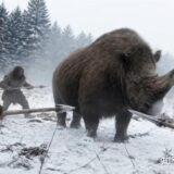 Khám Phá Khoa Học Về Người Neanderthal: Những Chiến Binh Thời Tiền Sử
