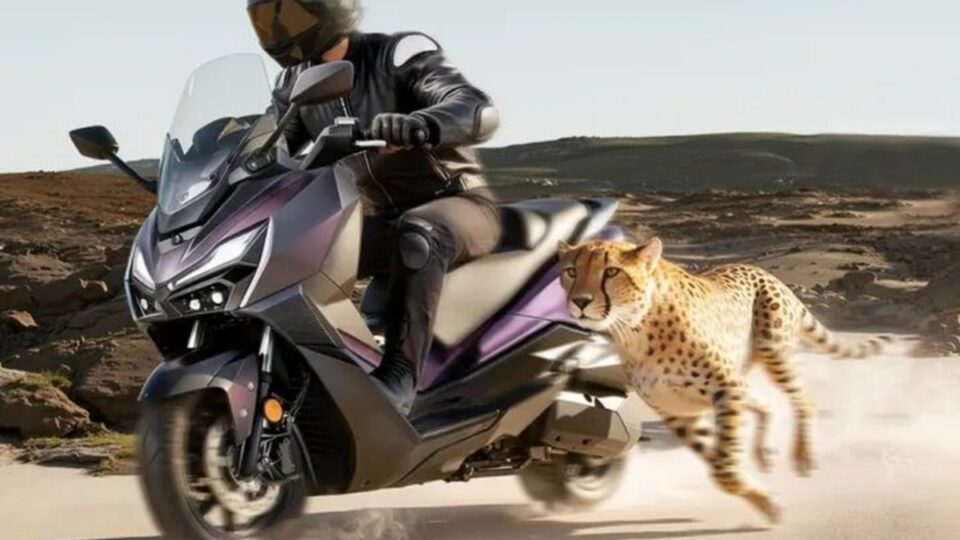 SYM JEPARDO 300: Maxi-scooter 278cc với Cornering ABS, camera kép và kết nối TFT