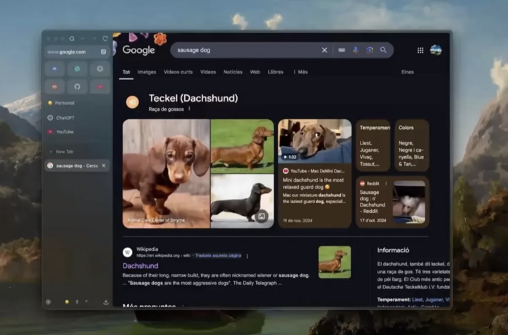 7 trình duyệt miễn phí có thể thay thế Chrome và Safari- Ảnh 6.