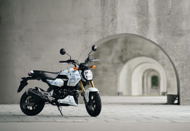 MSX GROM 2027: Bản SP trắng rằn ri và tham vọng của chiếc mini-bike